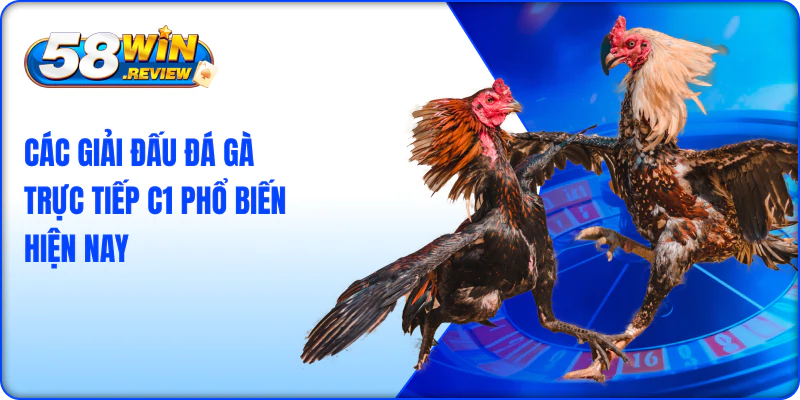 Các Giải Đấu Đá Gà Trực Tiếp C1 Phổ Biến Hiện Nay
