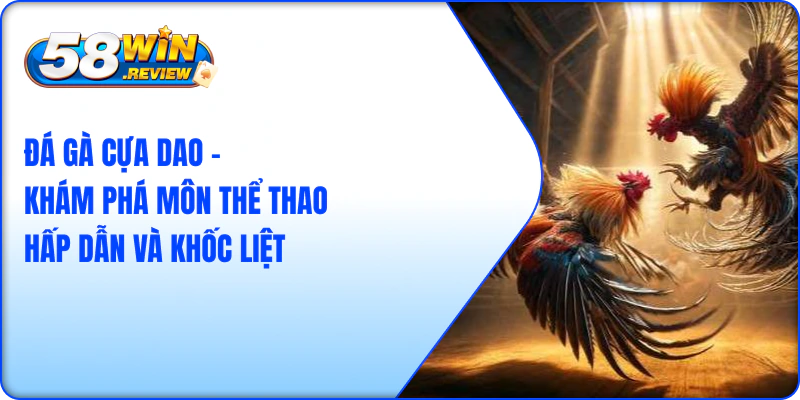 Đá Gà Cựa Dao - Khám Phá Môn Thể Thao Hấp Dẫn Và Khốc Liệt