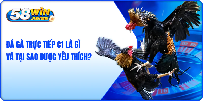 Đá Gà Trực Tiếp C1 Là Gì Và Tại Sao Được Yêu Thích?