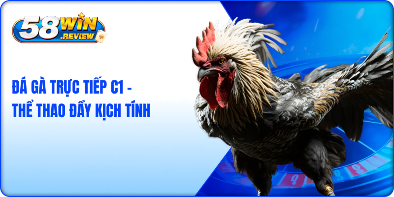 Đá Gà Trực Tiếp C1 – Thể Thao Đầy Kịch Tính