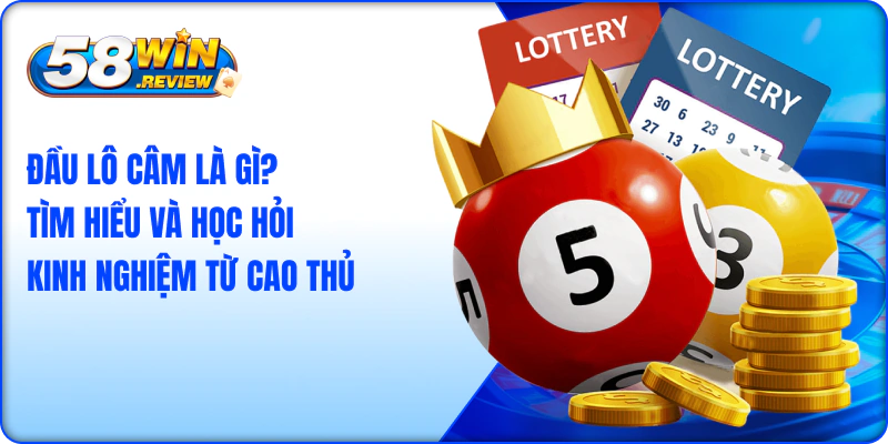 Đầu Lô Câm Là Gì? Tìm Hiểu Và Học Hỏi Kinh Nghiệm Từ Cao Thủ