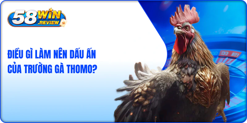 Điều gì làm nên dấu ấn của trường gà Thomo?