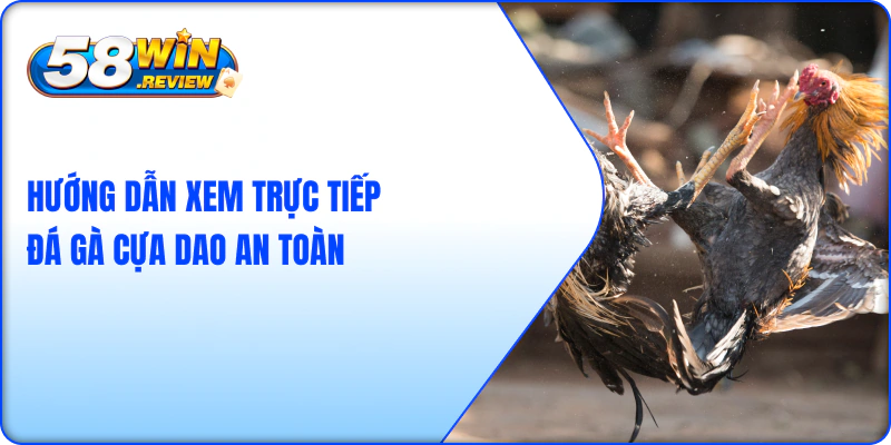 Hướng Dẫn Xem Trực Tiếp Đá Gà Cựa Dao An Toàn