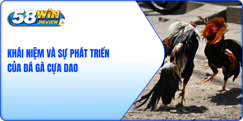 Khái Niệm Và Sự Phát Triển Của Đá Gà Cựa Dao