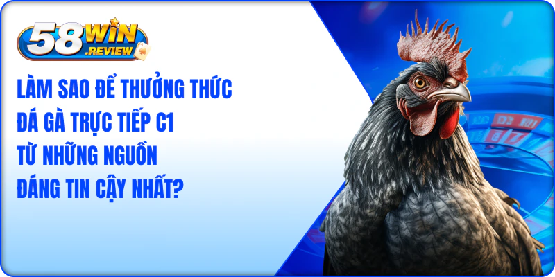 Làm Sao Để Thưởng Thức Đá Gà Trực Tiếp C1 Từ Những Nguồn Đáng Tin Cậy Nhất?