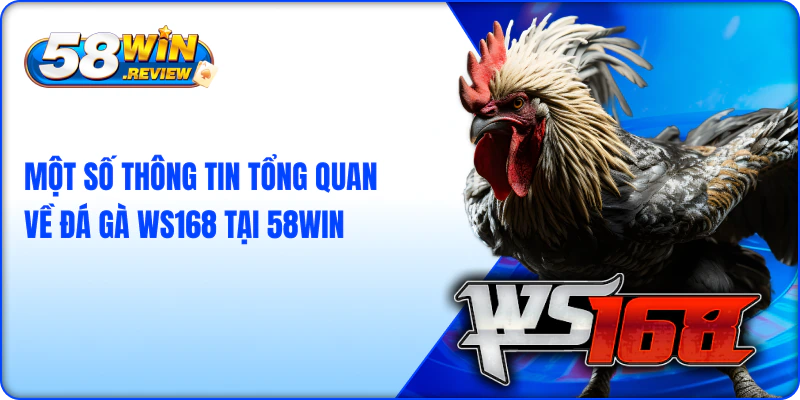 Một Số Thông Tin Tổng Quan Về Đá Gà WS168 tại 58win