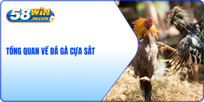 Tổng Quan Về Đá Gà Cựa Sắt